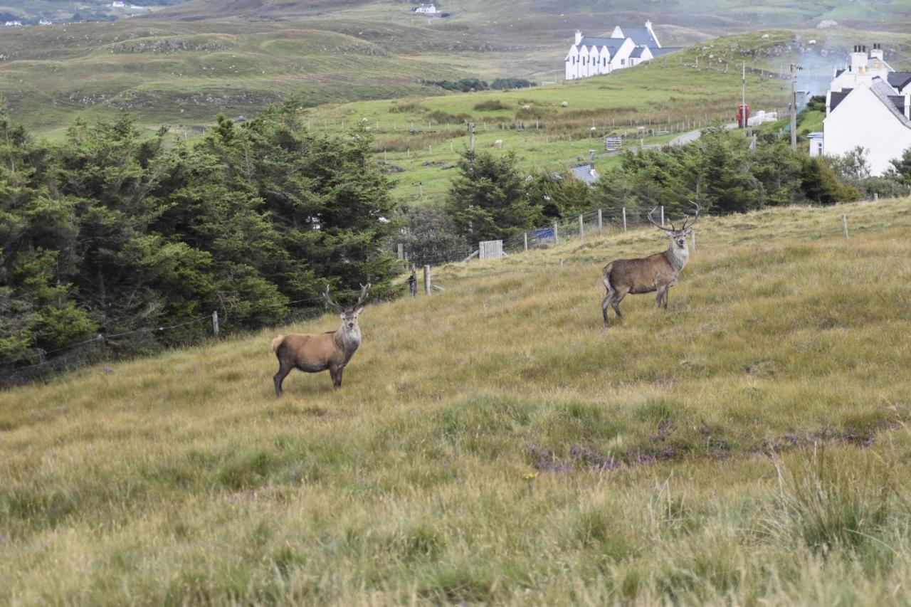 Holiday home Pooltiel View Milovaig
